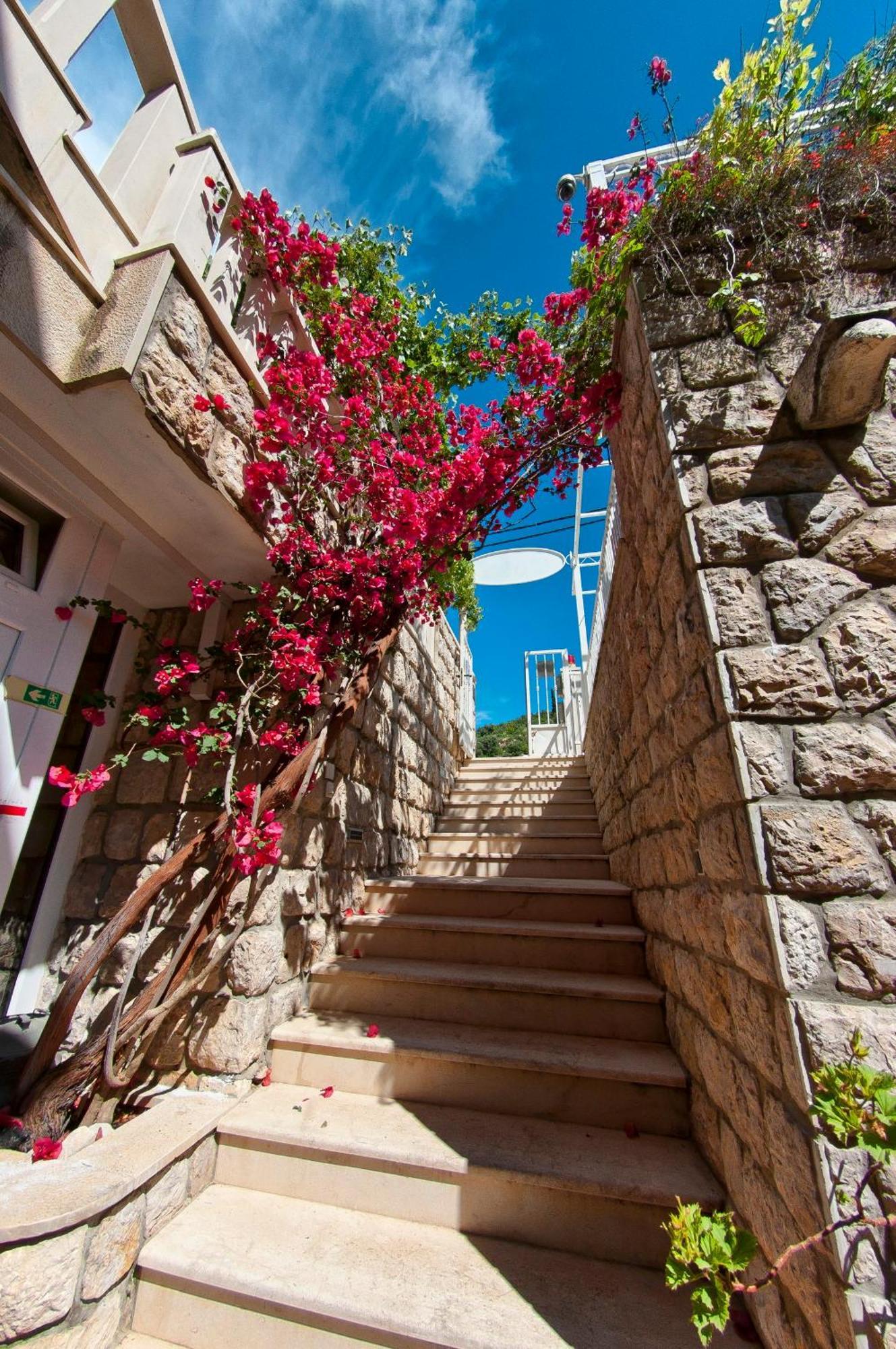 Villa Ana 2 Zaton  Extérieur photo